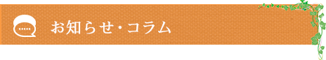 お知らせ・コラム